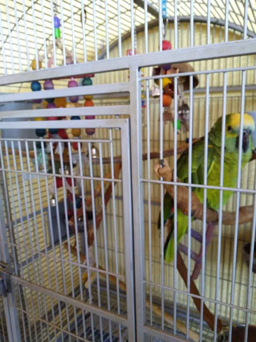 Just Beak-Cause, Inc. Picture 10
