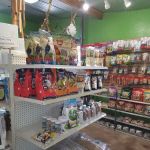 AZ Exotic Bird Rescue, Inc.