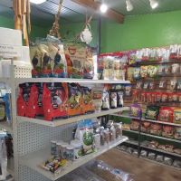 AZ Exotic Bird Rescue, Inc. ico