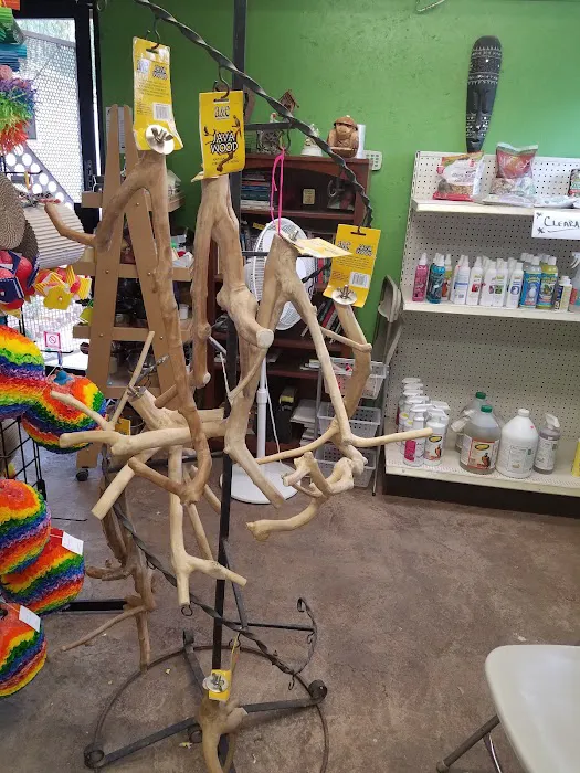 AZ Exotic Bird Rescue, Inc. Picture 6