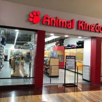 Animal Kingdom ico