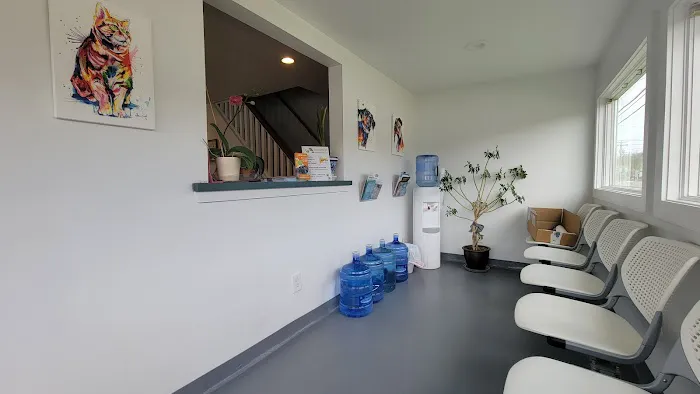 High Street Veterinary Practice Picture 6
