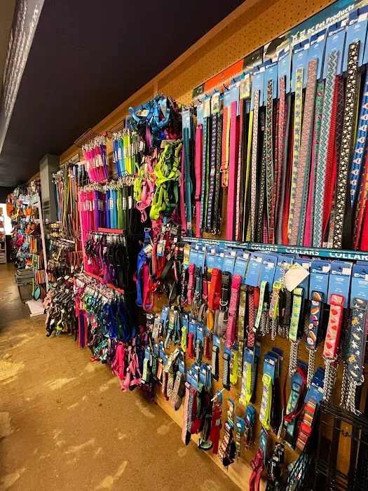 Pet Planet College Park Picture 1