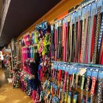 Pet Planet College Park
