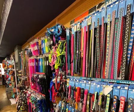 Pet Planet College Park