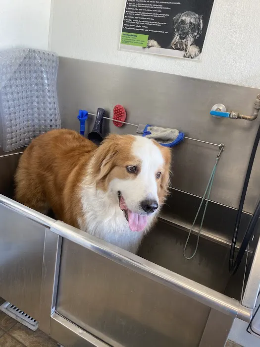 Pet Planet College Park Picture 9