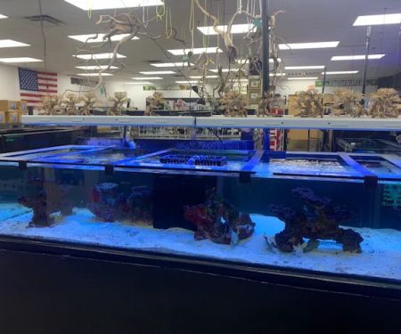 Discount Aquarium Fish and Reef