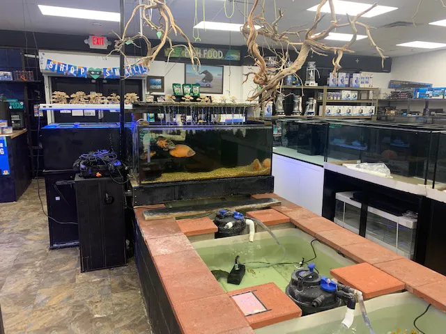 Discount Aquarium Fish and Reef Picture 3