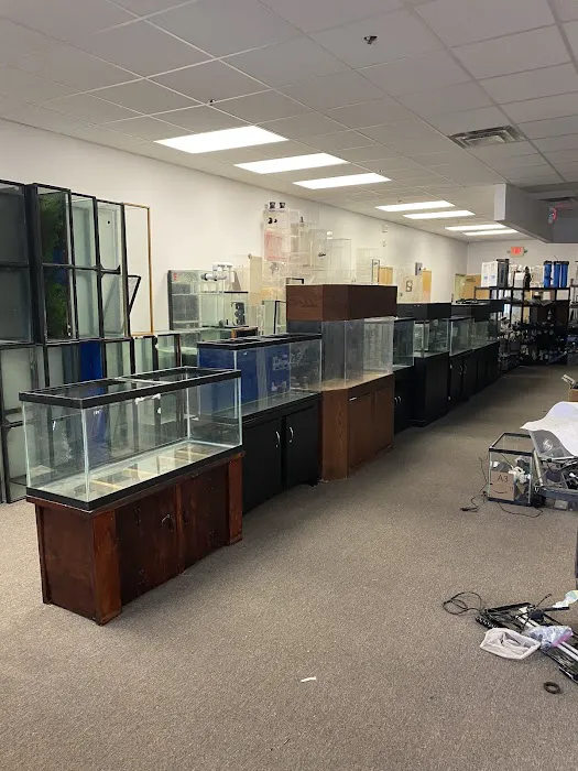 Discount Aquarium Fish and Reef Picture 6