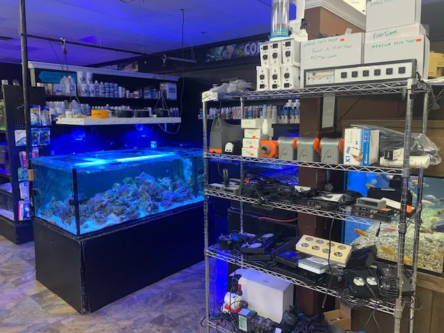 Discount Aquarium Fish and Reef Picture 8
