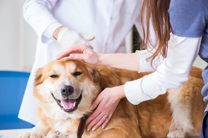 Healing Paws Animal Hospital Picture 1
