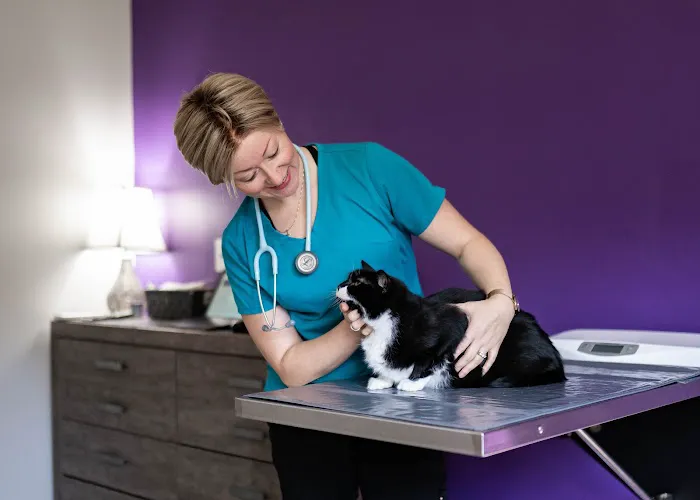 Healing Paws Animal Hospital Picture 8