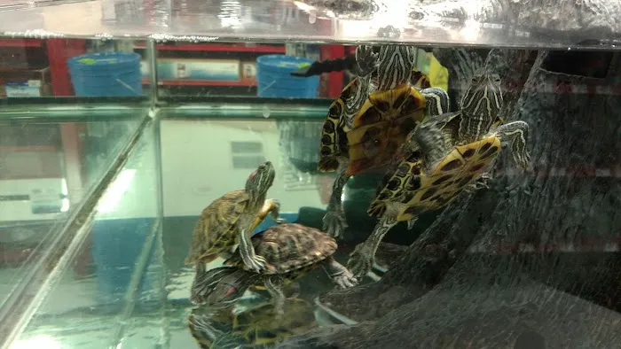 Petco Picture 2