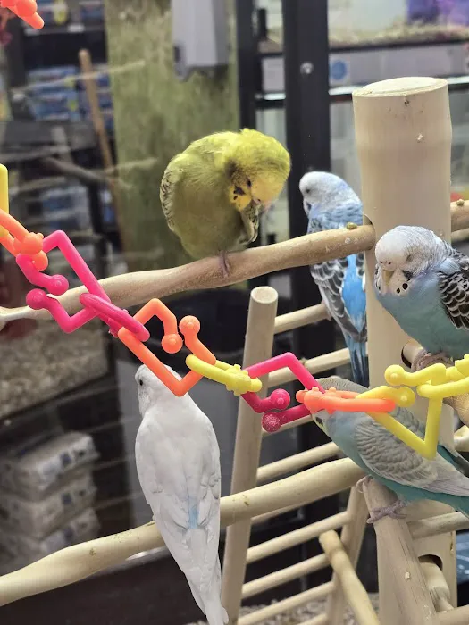 Petco Picture 5