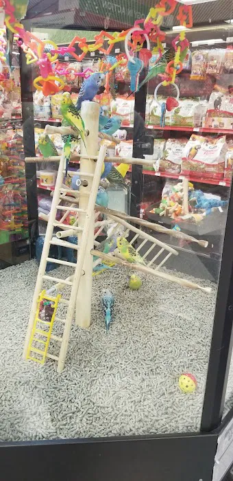 Petco Picture 8