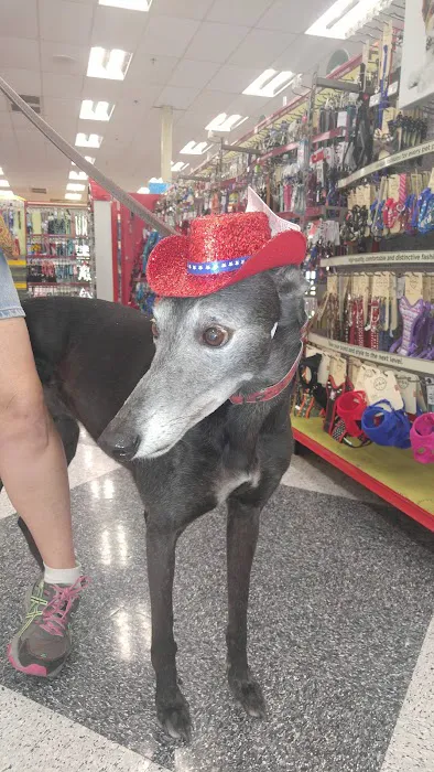 Petco Picture 10
