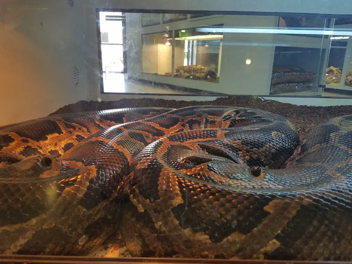 Arizona Reptile Center Picture 3