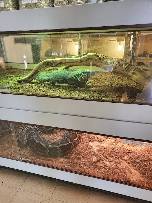 Arizona Reptile Center Picture 1