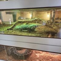 Arizona Reptile Center ico