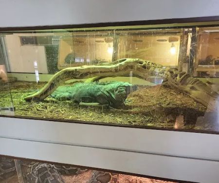 Arizona Reptile Center