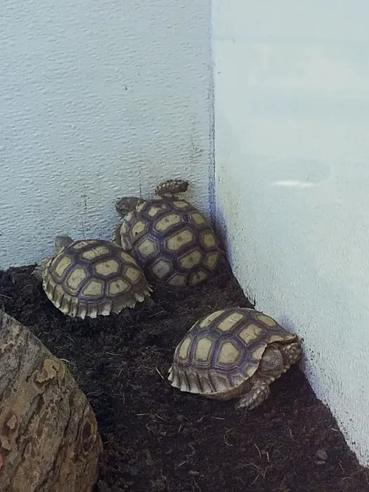 Arizona Reptile Center Picture 4
