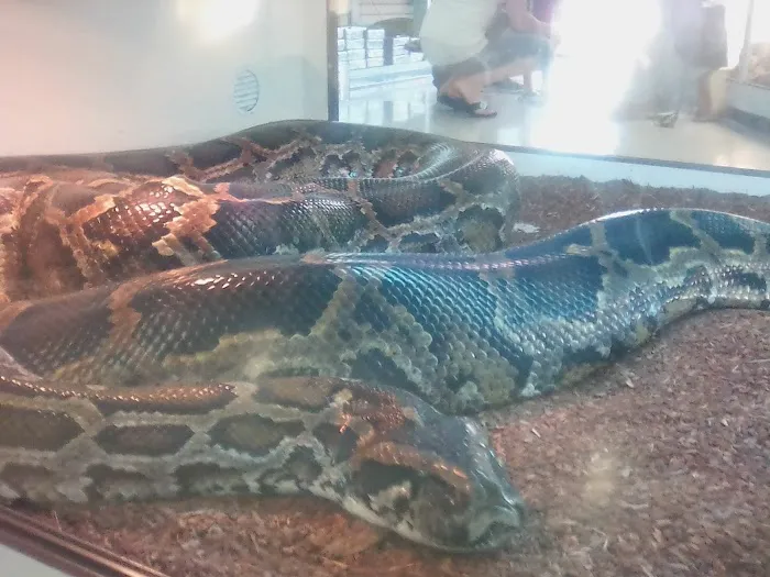 Arizona Reptile Center Picture 6