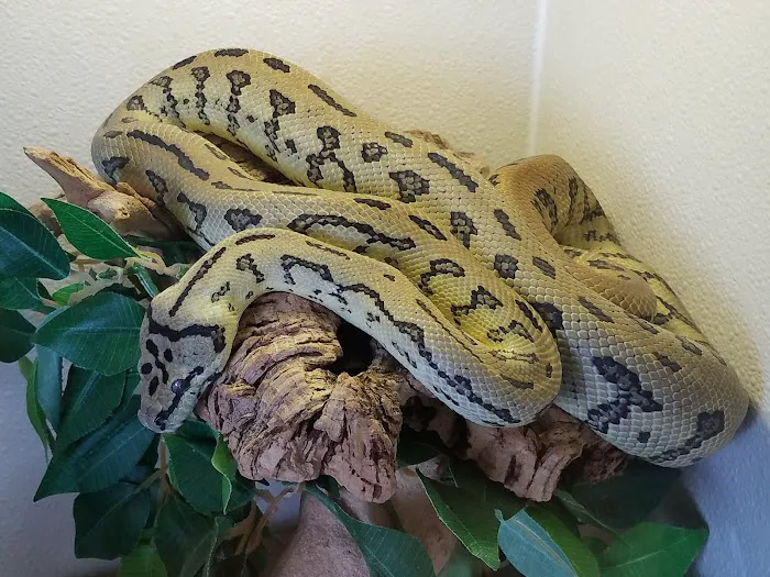 Arizona Reptile Center Picture 5