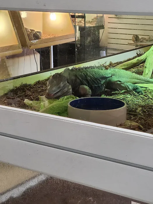 Arizona Reptile Center Picture 9