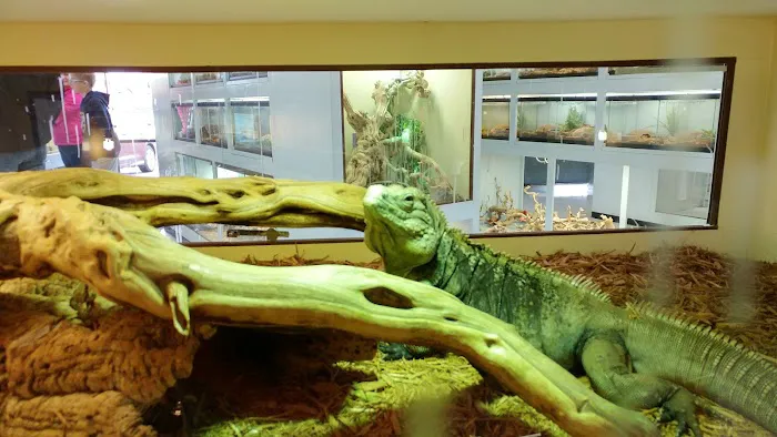 Arizona Reptile Center Picture 8