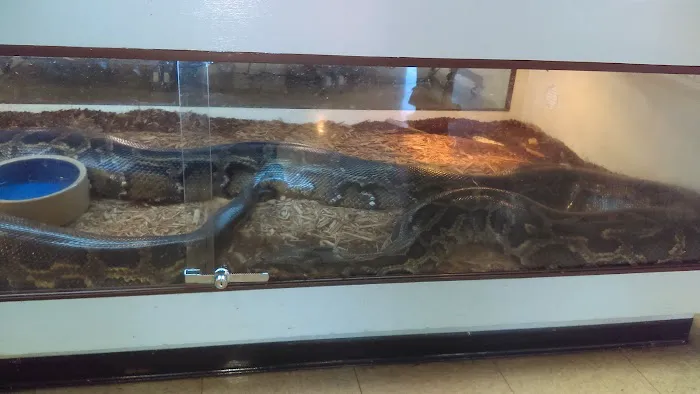 Arizona Reptile Center Picture 7