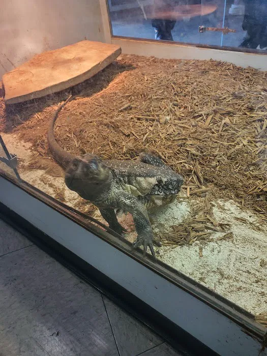 Arizona Reptile Center Picture 10