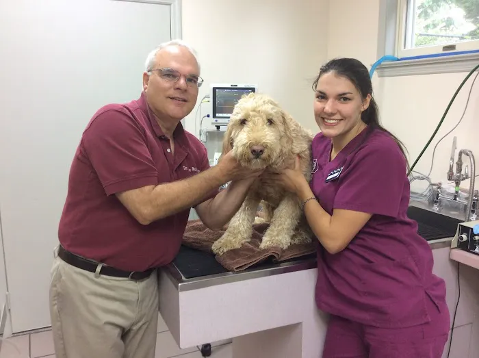 St Francis Animal Hospital Picture 3