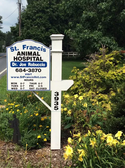 St Francis Animal Hospital Picture 6
