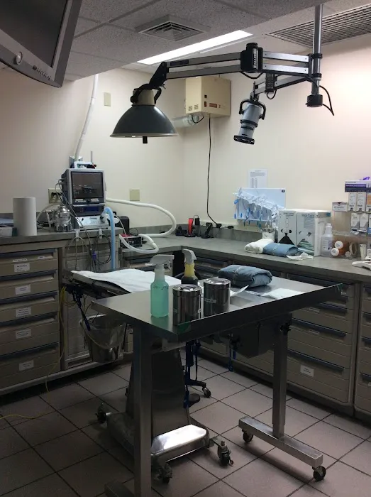 St Francis Animal Hospital Picture 9