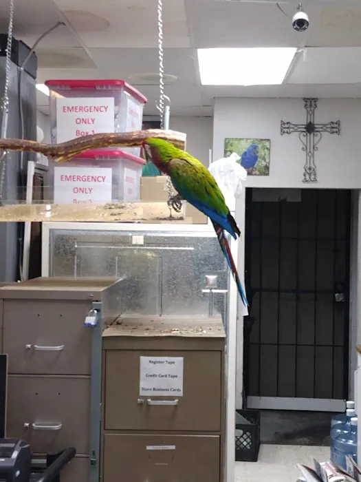 Arizona Bird Store Picture 4
