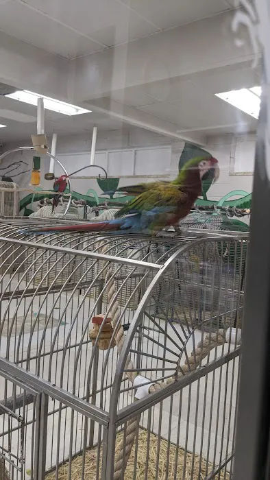 Arizona Bird Store Picture 8