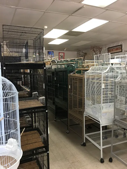 Arizona Bird Store Picture 7