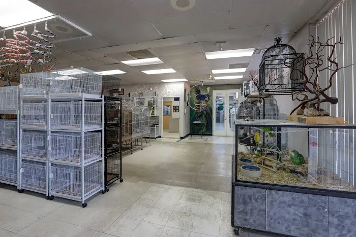 Arizona Bird Store Picture 10