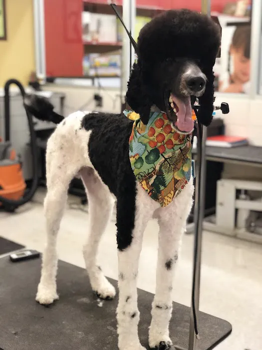 Petco Picture 1