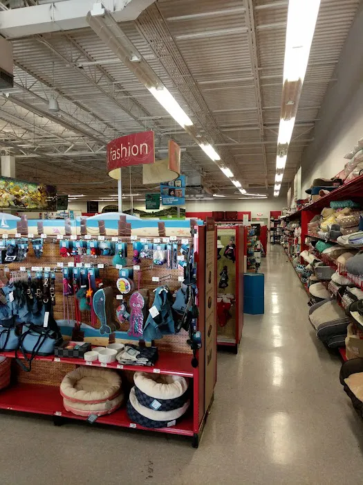Petco Picture 3