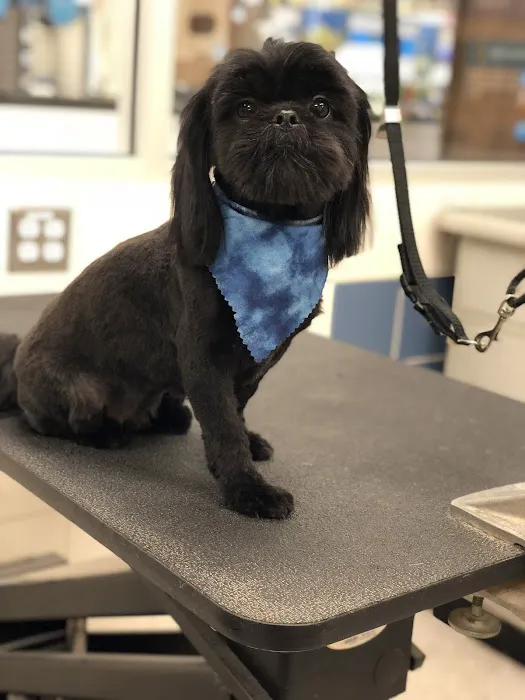 Petco Picture 6