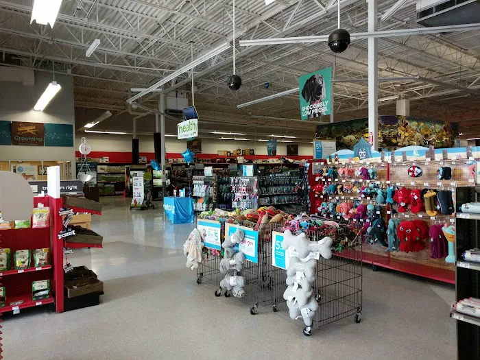 Petco Picture 5