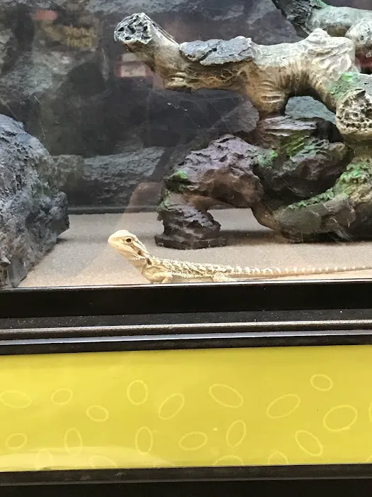 Petco Picture 7