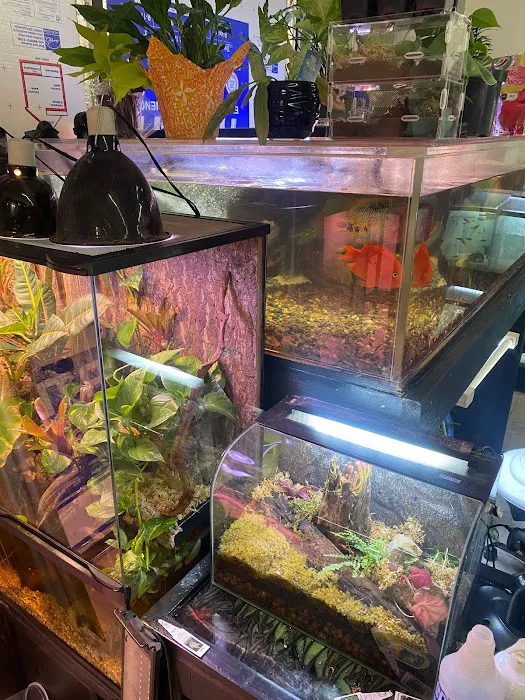 Moonshine Reptiles Arizona LLC Picture 3