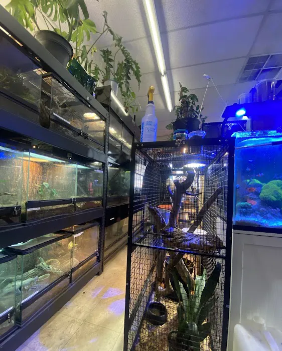 Moonshine Reptiles Arizona LLC Picture 5