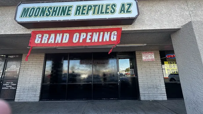Moonshine Reptiles Arizona LLC Picture 2
