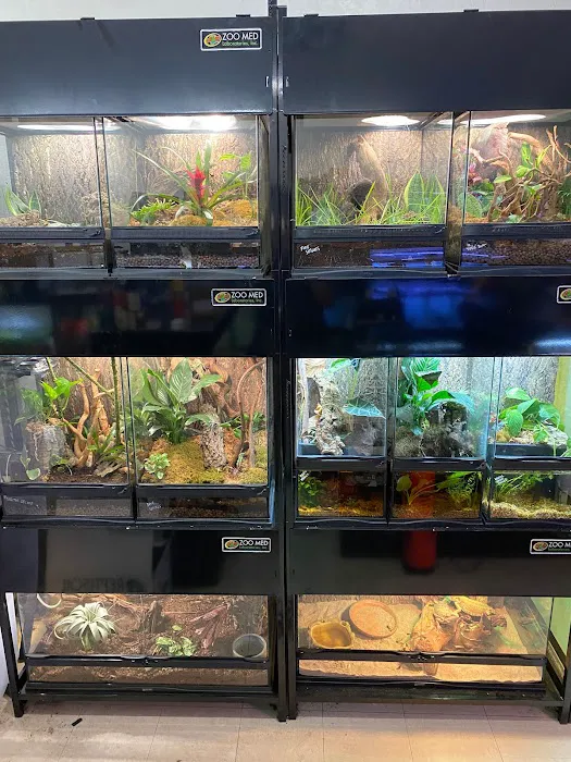 Moonshine Reptiles Arizona LLC Picture 6