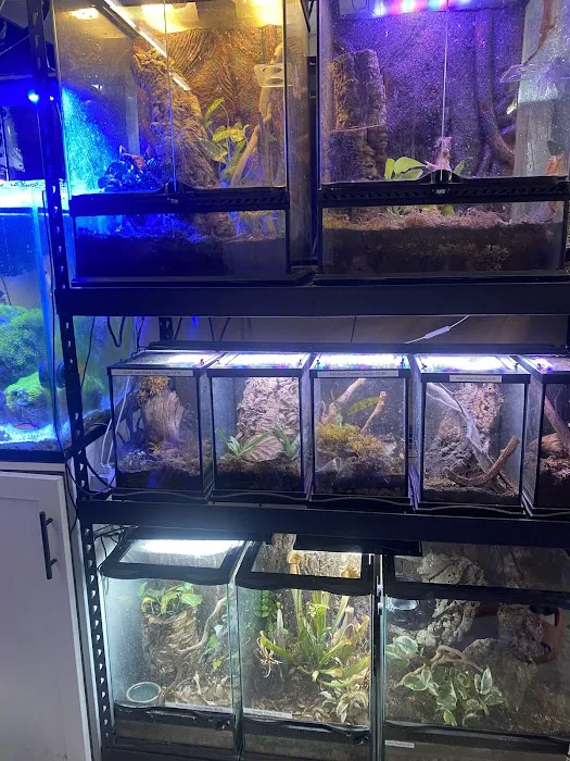 Moonshine Reptiles Arizona LLC Picture 8