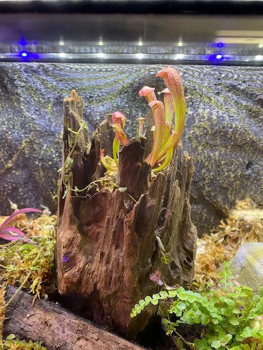 Moonshine Reptiles Arizona LLC Picture 10