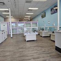 Puppyland Tolleson ico